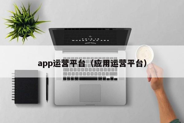 app运营平台（应用运营平台）