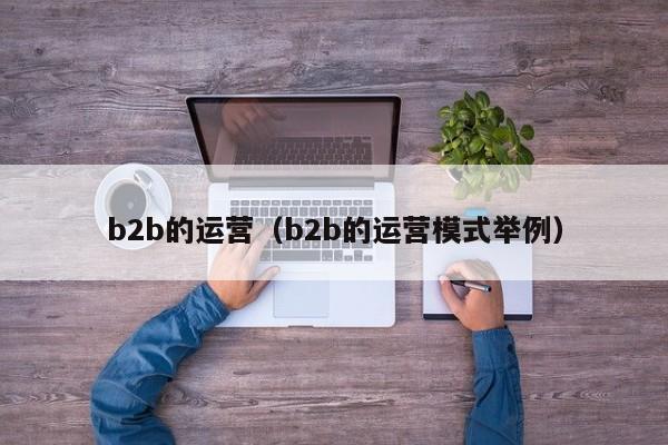 b2b的运营（b2b的运营模式举例）