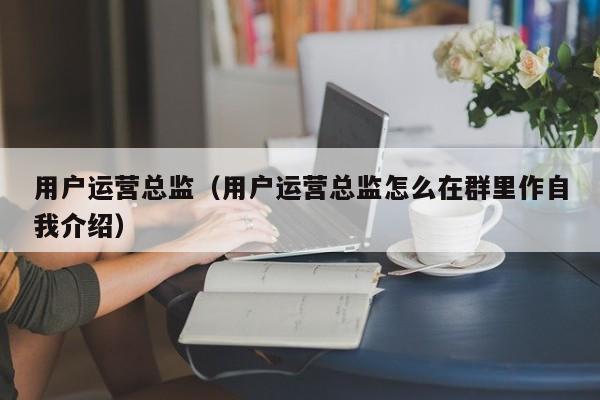 用户运营总监（用户运营总监怎么在群里作自我介绍）