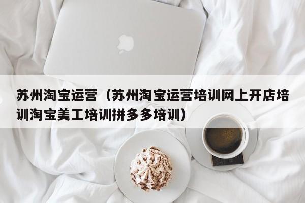 苏州淘宝运营（苏州淘宝运营培训网上开店培训淘宝美工培训拼多多培训）