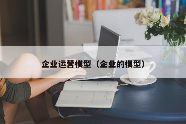 企业运营模型（企业的模型）