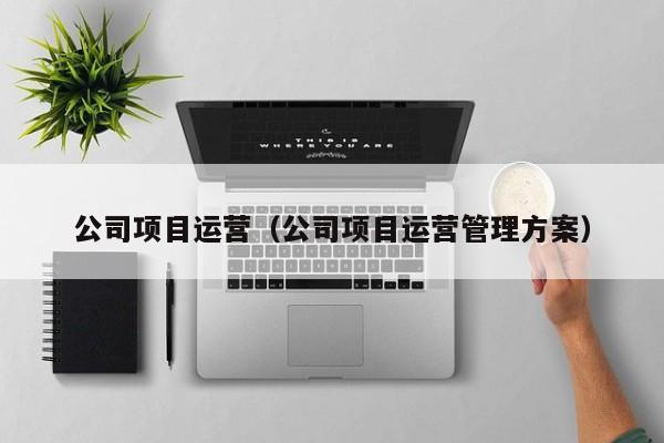 公司项目运营（公司项目运营管理方案）