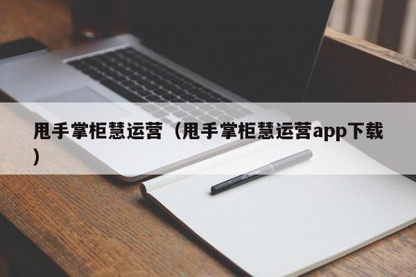 甩手掌柜慧运营（甩手掌柜慧运营app下载）