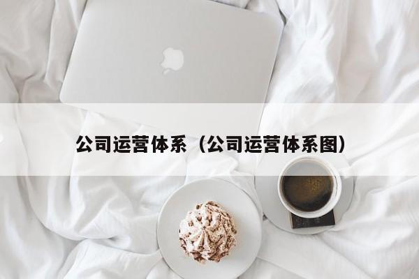 公司运营体系（公司运营体系图）